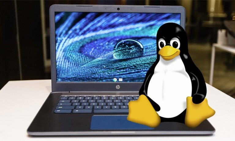 A Comprehensive Guide to Installing Linux on a Chromebook